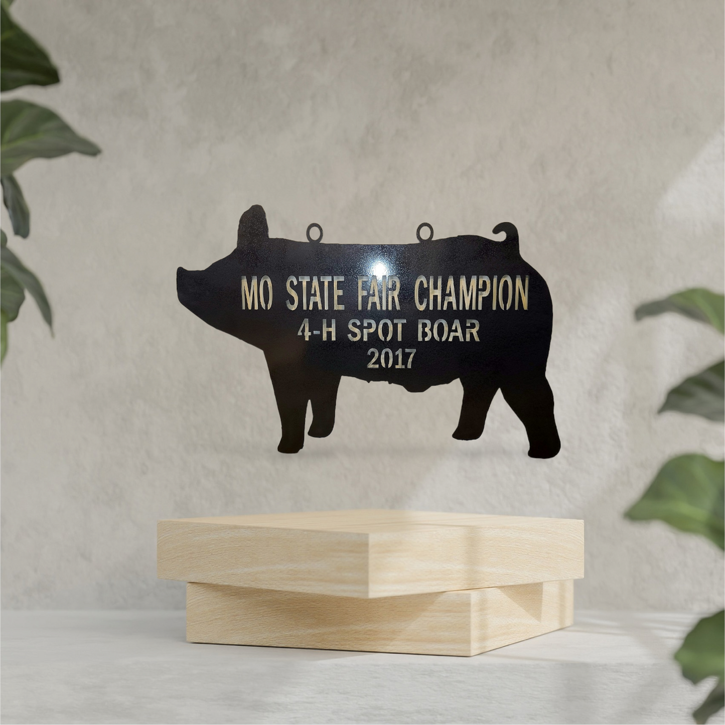 Show pig design