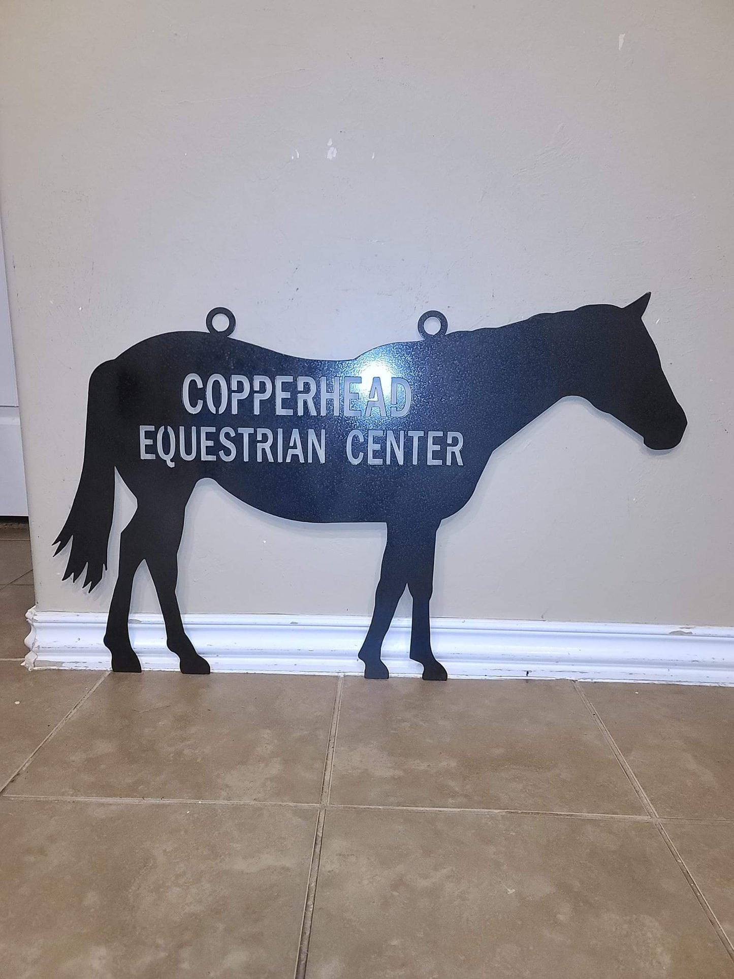 "ANY ANIMAL" Custom Metal Sign with Wording